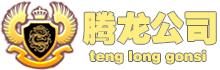 腾龙公司平台-实体公司